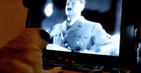 Count Dankula Nazi salute Hitler pug Buddha hate crime