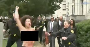 Nicole Rochelle Bill Cosby The Cosby Show topless protest FEMEN